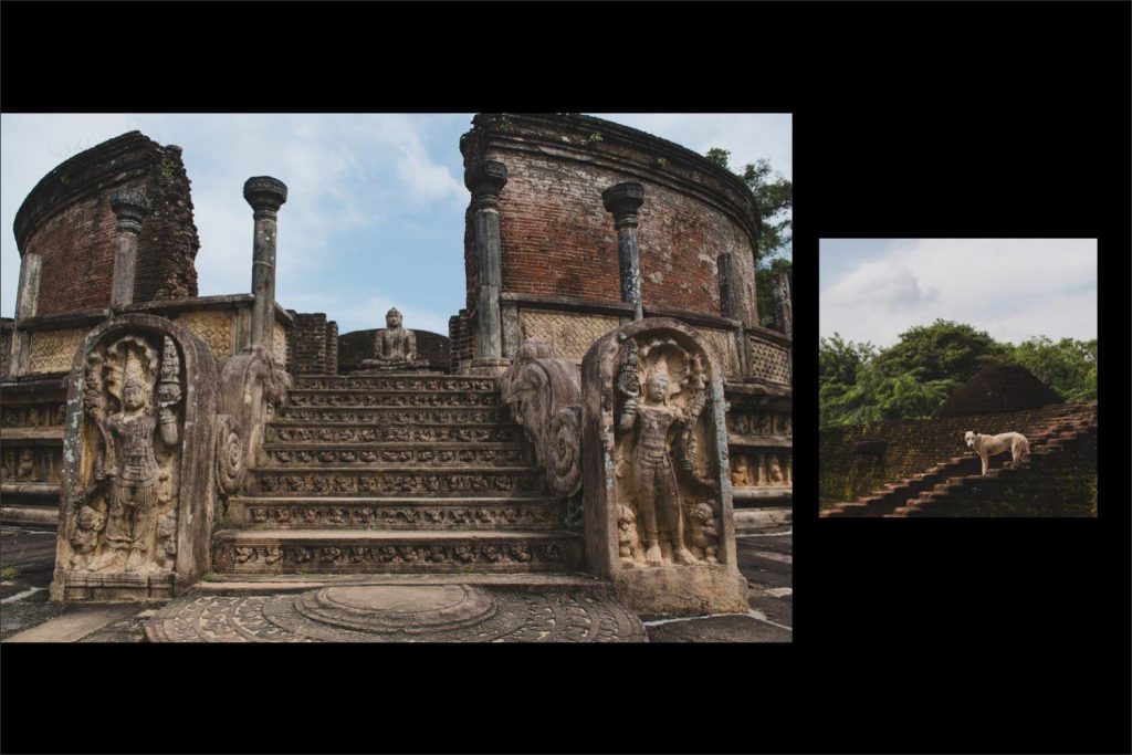 Sri Lanka photographer: steps to the house ruins with stone statues and a dog that owns them.