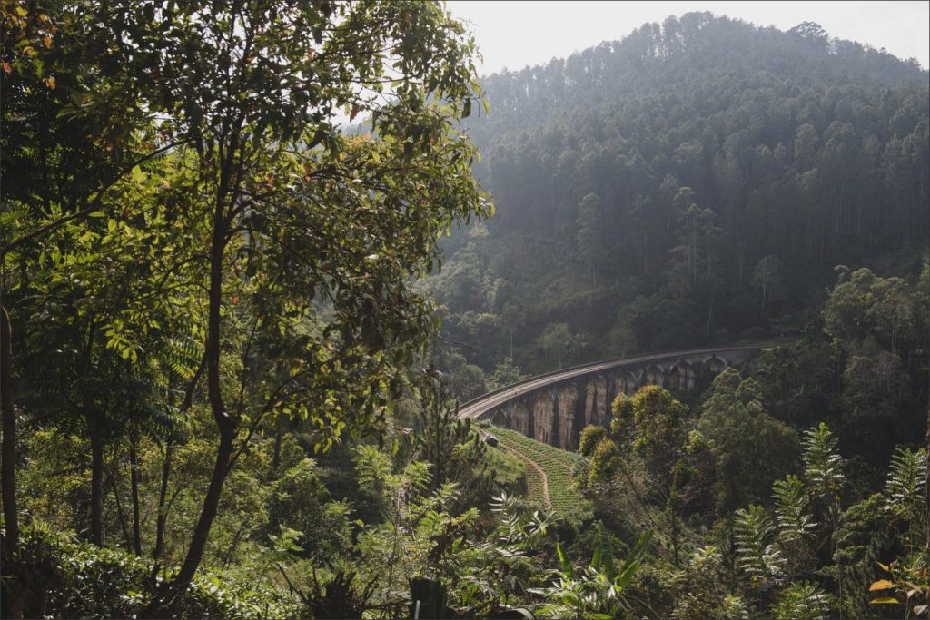 Sri Lanka photographer: train bridge over the arches surrounded by trees.