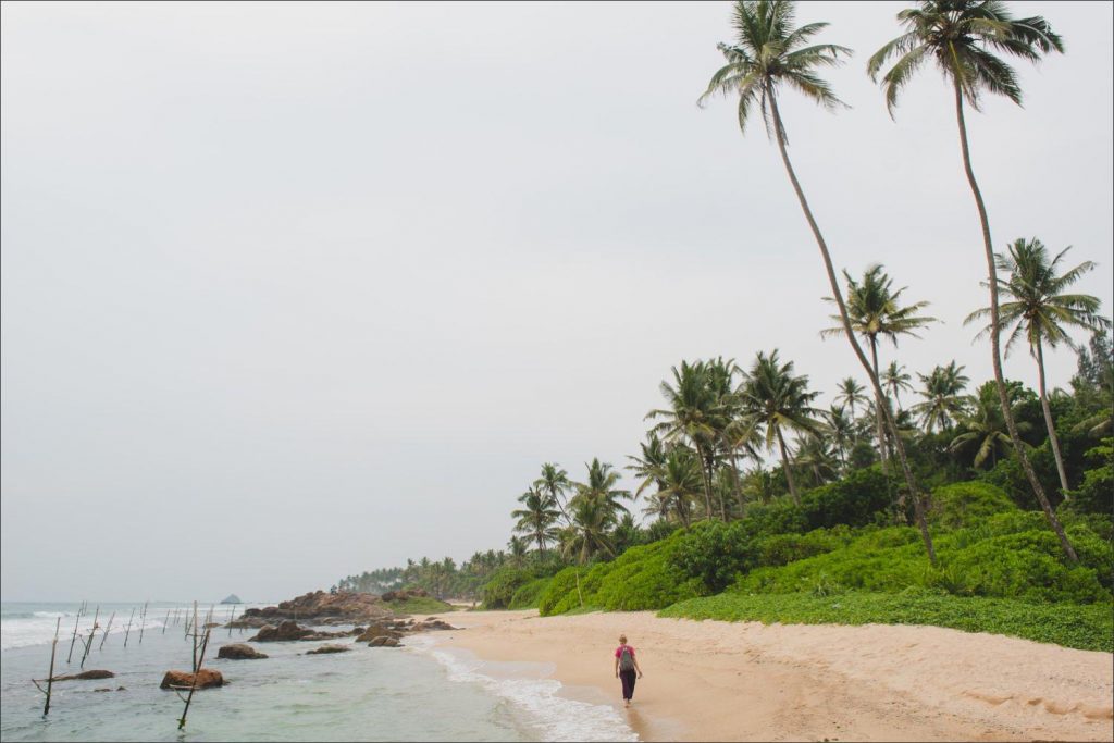 Getting married in Sri Lanka: beautiful sandy beach in the haze with palm trees.