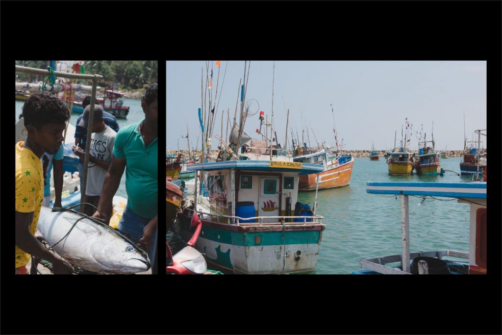 Sri Lanka photographer: fisherman holding the fish next to the fishing boats.
