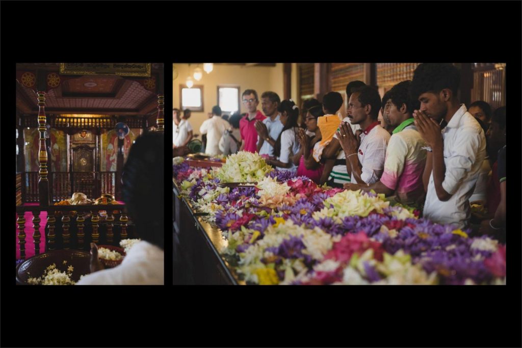 Sri Lanka photographer: prayers and givings at the Temple of the Tooth.