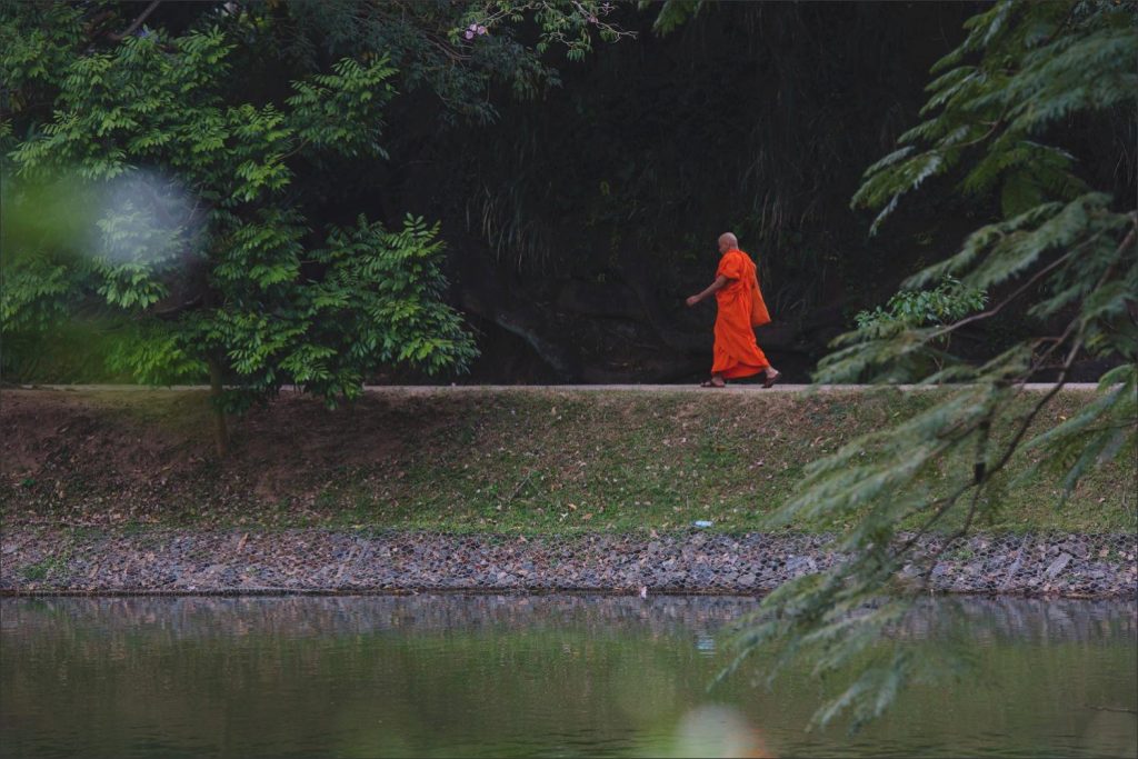 Sri Lanka photographer: the orange of the monk and the green around above water.