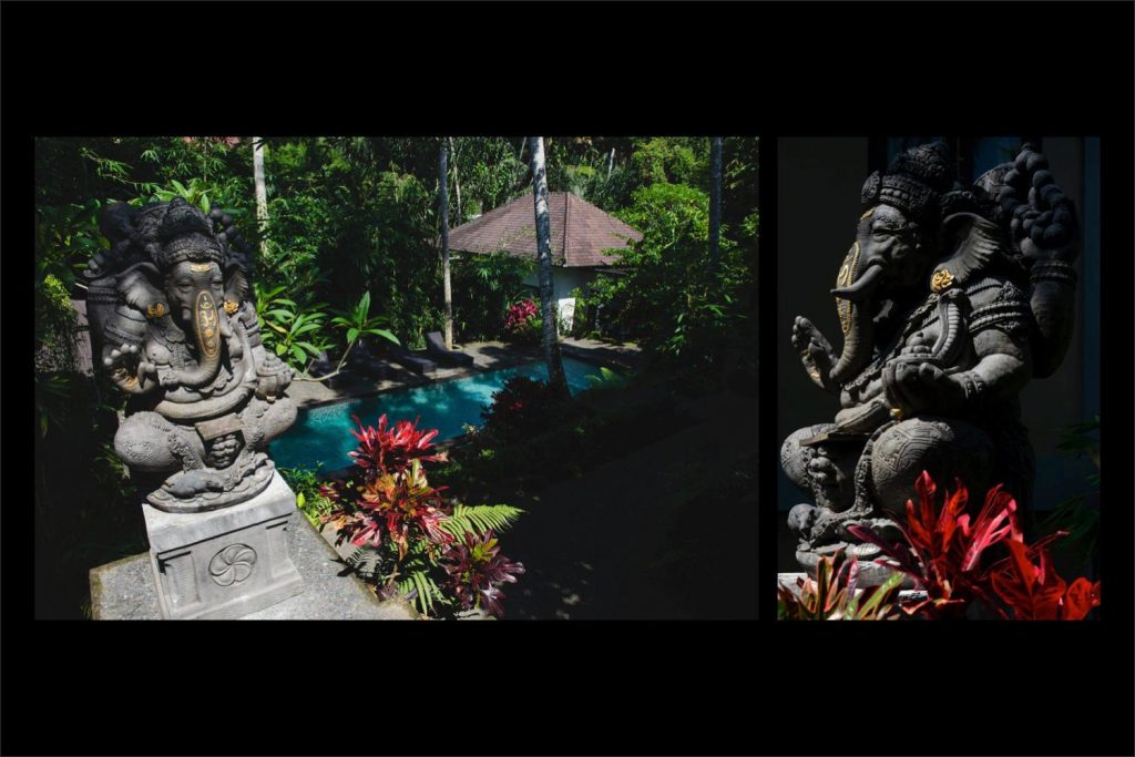 Photographer Bali: beautiful lush garden at Ubud.