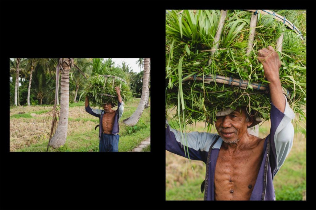 Photographer Bali: hard working man passing between palm trees.